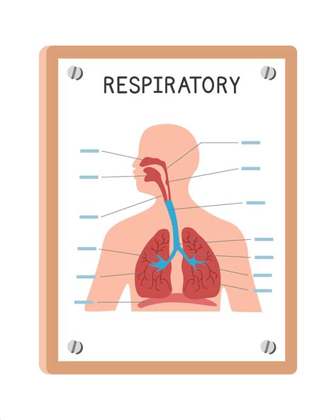 Respiratory System Cartoon royalty.